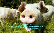 КОРМА ЭКСТРУДИРОВАННЫЕ ДЛЯ ВСЕХ ВИДОВ С-Х