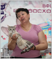 Бенгалы из Рязани!!!!!!!!!!