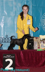 Щенки цвергшнауцера черного окраса - самой маленькой СЛУЖЕБНОЙ собаки