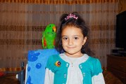 Любознательный привлекательный мальчик Эклектуса который любит людей!!