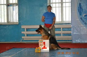 продам щенка немецкой овчарки сука
